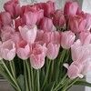 d_beautiful5
